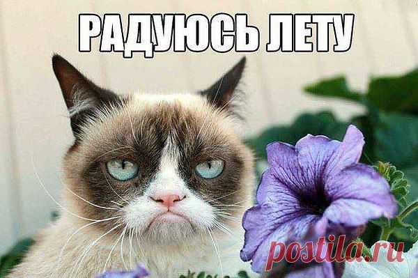 Интересные новости