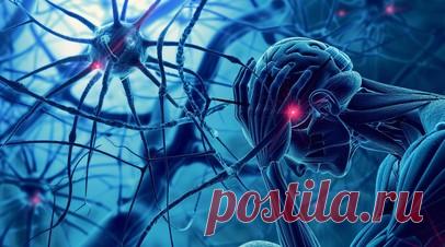 Психолог Куперштейн: хронический стресс ускоряет износ нервной системы. Клинический психолог, консультативный психолог Цифровой клиники Страхового Дома ВСК Елена Куперштейн рассказала, что хронический стресс ускоряет износ нервной системы и сокращает продолжительность жизни. Читать далее