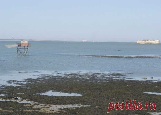 История форта Байяр.