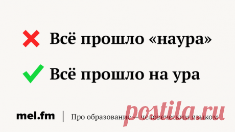 9 случаев, когда кавычки точно не нужны, даже если вам очень хочется их поставить