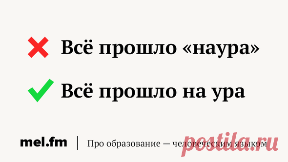 9 случаев, когда кавычки точно не нужны, даже если вам очень хочется их поставить
