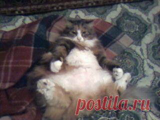 Проветривание