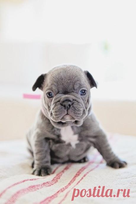 oak.diary.ru.