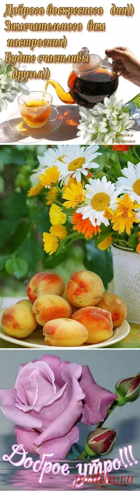 (43) Зина Таирова