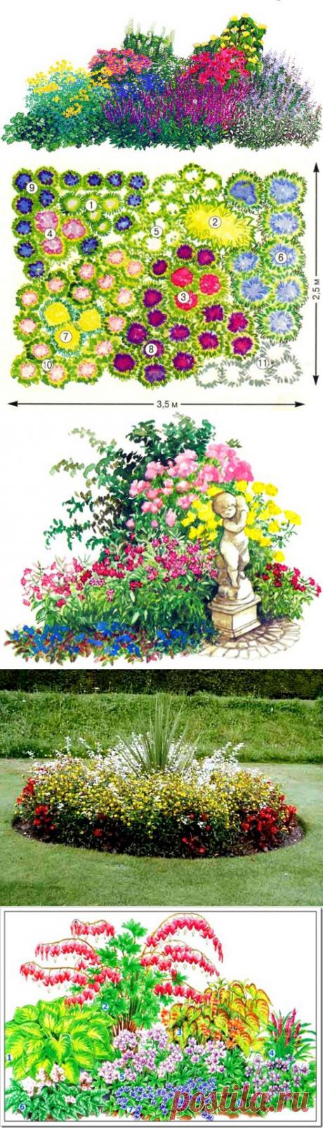 (+1) тема - Правила красивой клумбы: подбор цветов по высоте | ОГОРОД БЕЗ ХЛОПОТ