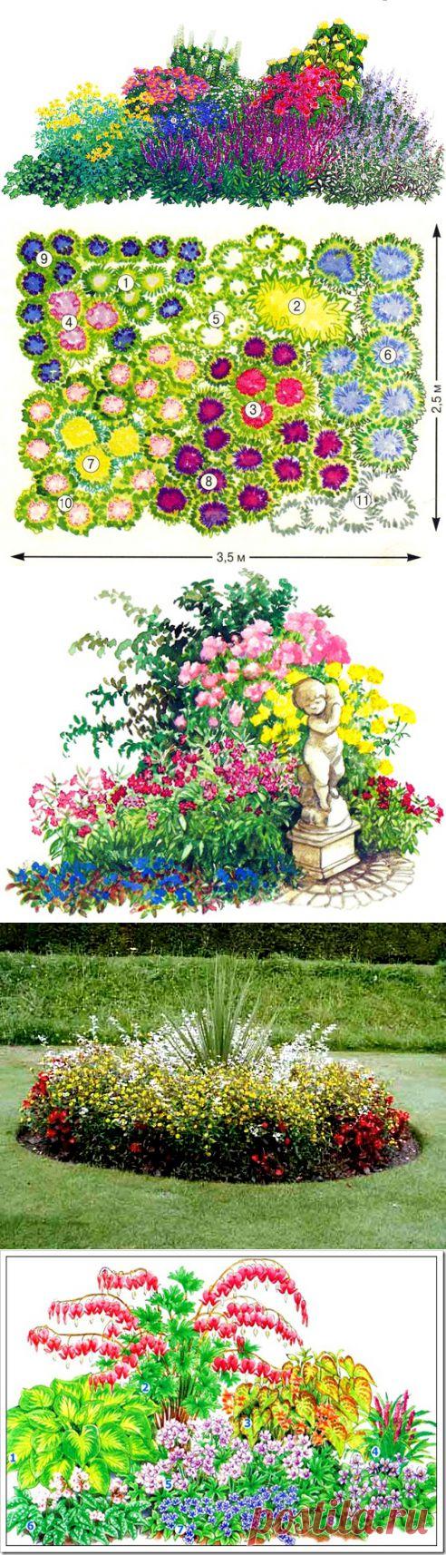 (+1) тема - Правила красивой клумбы: подбор цветов по высоте | ОГОРОД БЕЗ ХЛОПОТ