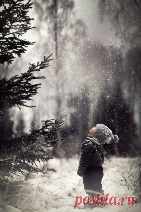 It's a beautiful world