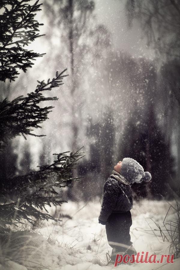 It's a beautiful world