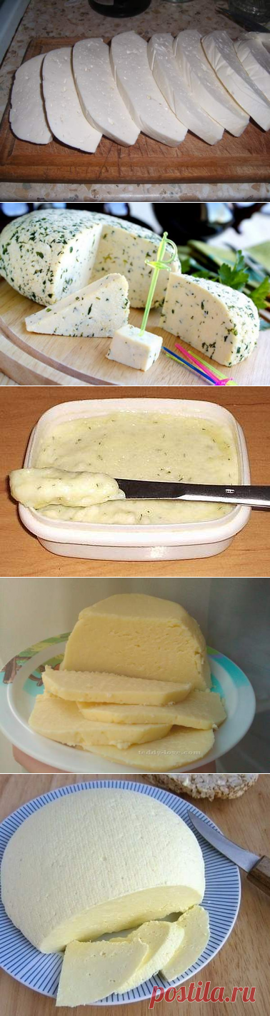 Домашние сыры - 20 вариантов приготовления - Простые рецепты Овкусе.ру