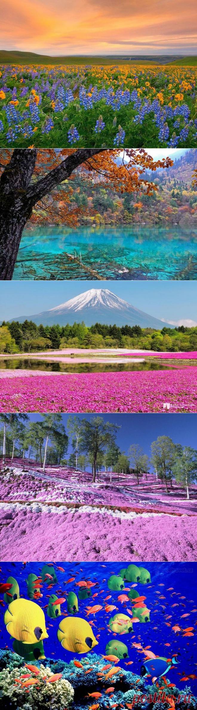 Фотопрогулка по самым красочным местам нашей планеты