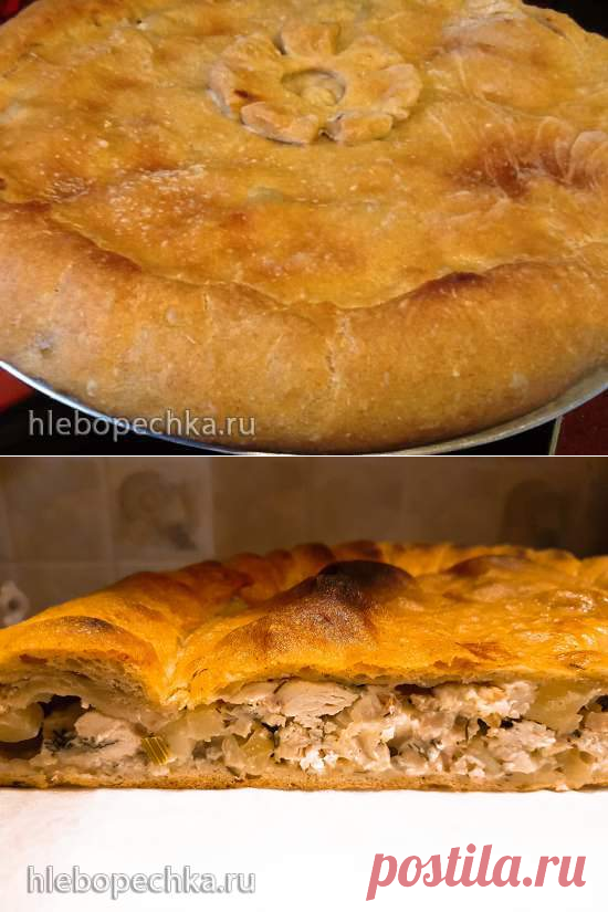 Сочный куриный пирог на ржано-пшеничном тесте или любом по вашему выбору (духовка или пиццапечь Принцесс) - рецепт с фото на Хлебопечка.ру