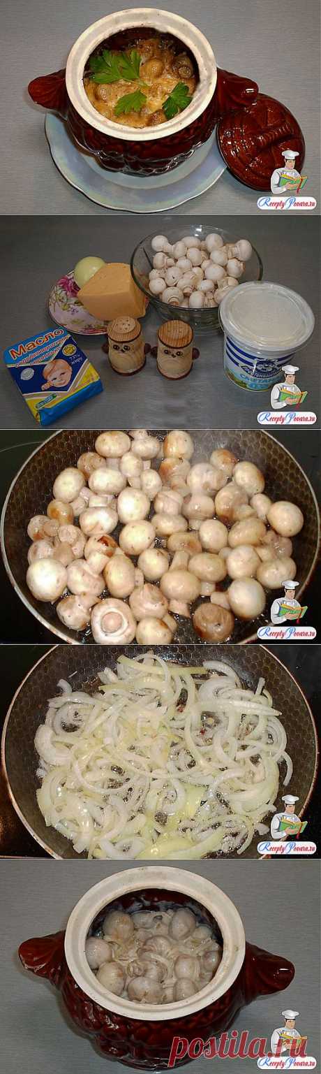 Грибы со сметаной в горшочке | Ваши любимые рецепты