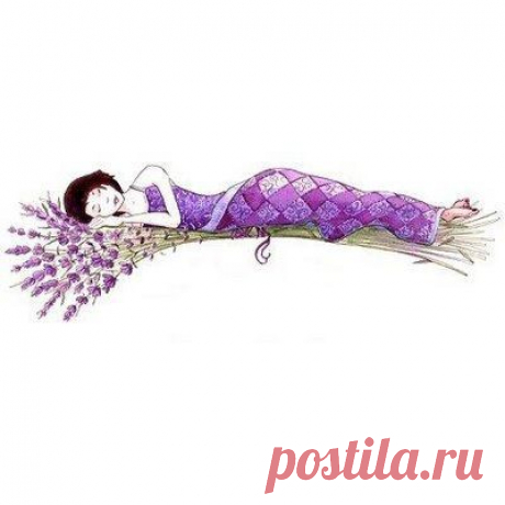 Gallery.ru / Фото #14 - И опять лаванда.... - MontanaBY