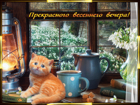g67z8.gif (Изображение GIF, 1024 × 768 пикселов)