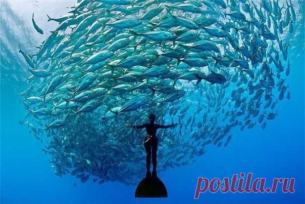 Больше, чем просто фотография