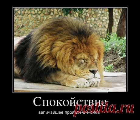 13 психологических приёмов, которые Вы можете использовать каждый день