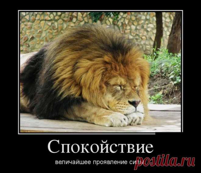 13 психологических приёмов, которые Вы можете использовать каждый день