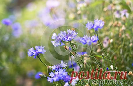 Stock Photos, Royalty-Free Images & Video Footage By Dreamstime Stock Photography