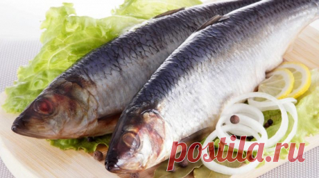 Сельдь соленая в домашних условиях очень вкусная. Как посолить селедку — 14 рецептов