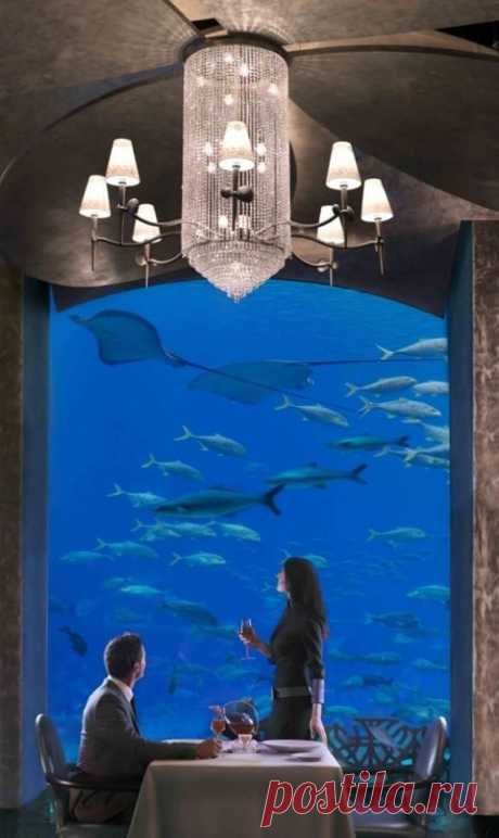 (14) Beautiful World
Парк развлечений Atlantis, The Palm и лабиринт-аквариум открыты для всех туристов Дубая, но для гостей Atlantis вход в Aquadventure и The Lost Chambers свободный.