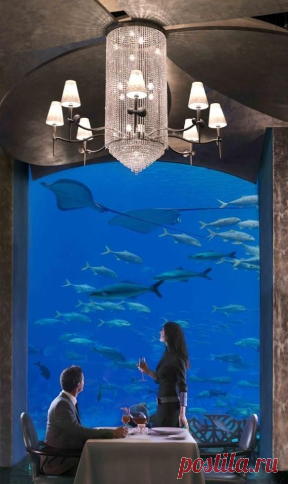 (14) Beautiful World
Парк развлечений Atlantis, The Palm и лабиринт-аквариум открыты для всех туристов Дубая, но для гостей Atlantis вход в Aquadventure и The Lost Chambers свободный.
