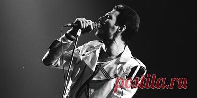 В чем смысл "Рапсодии"? Кого убила королева? Как и о чем писал песни Фредди Меркьюри. Легендарный солист британской группы Queen родился 5 сентября 75 лет назад