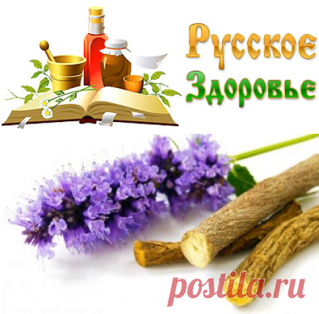 Весенняя чистка лимфы с помощью солодки