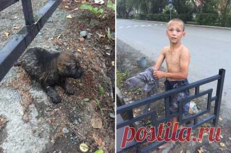 Единственным смелым мужчиной в городе Ревда оказался 12-летний мальчик | Чёрт побери