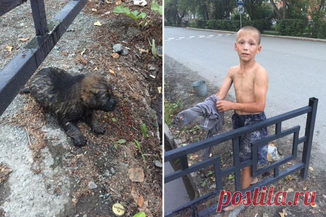 Единственным смелым мужчиной в городе Ревда оказался 12-летний мальчик | Чёрт побери