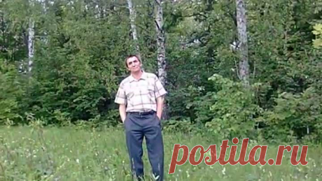 Где-то багульник на сопках растёт