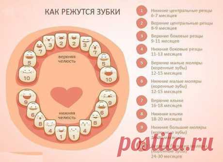 Лайфхак - полезные советы и идеи для жизни!