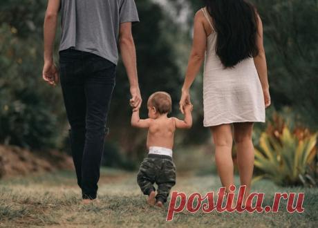 Подтверждено наукой: что дети наследуют от отцов? Многие думают, что наследование тех или иных черт, болезней или способностей — генетика и вопрос случайности, и кому как повезет.
Но ученые выяснили, что...