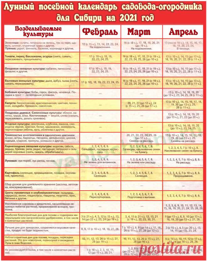Посевной лунный календарь садовода-огородника на 2021 год для Сибири. | Дачный сайт семьи Яблочкиных