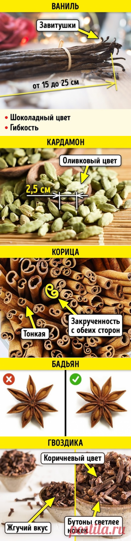 Как отличить натуральные специи от подделки