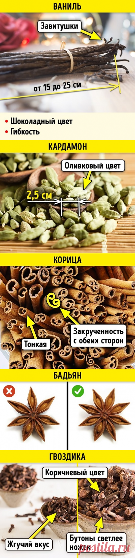 Как отличить натуральные специи от подделки