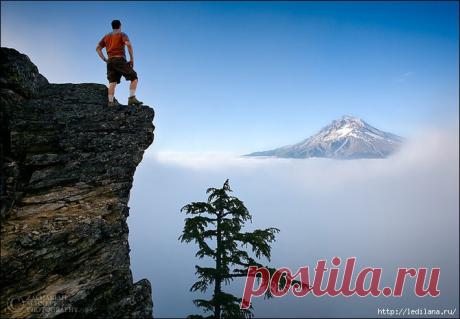 Доказательства того, что природа — это творение Божье