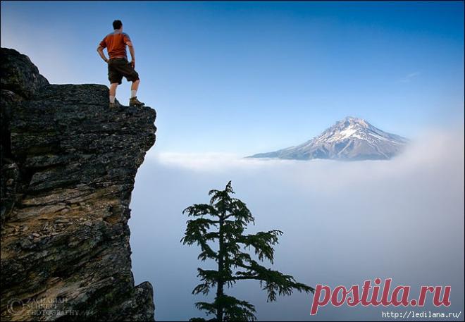 Доказательства того, что природа — это творение Божье