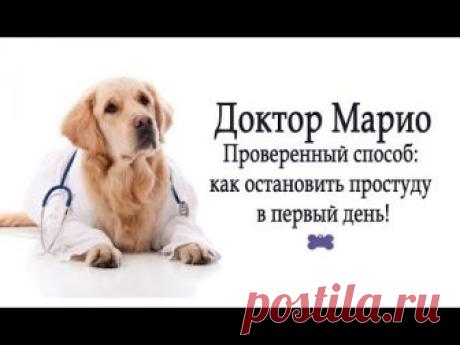 Как остановить простуду быстро. Домашний семейный рецепт В. Соколинского