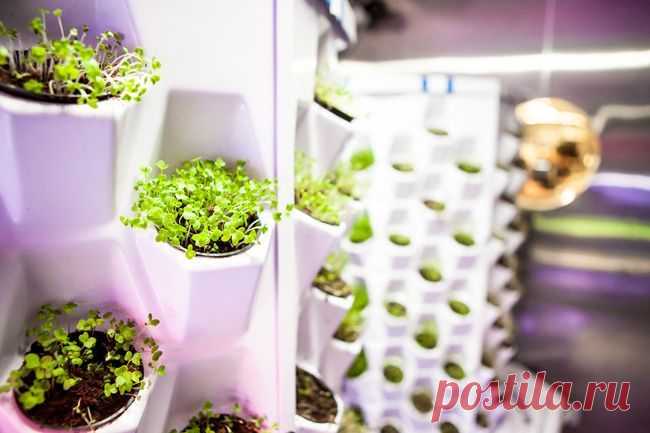 Интересная мысль ))