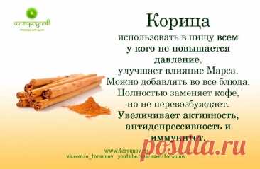 Корица