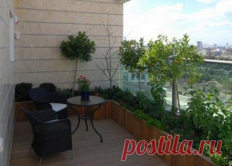 Модернизация и замена лифтов | Домоведы