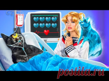 Я спасла бездомного котенка! Как стать Сейлор Мун!