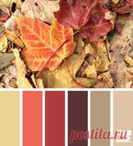 Design Seeds® | find your palette