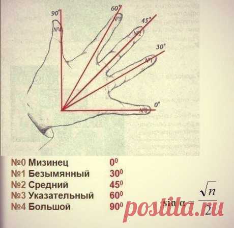 5 полезных советов