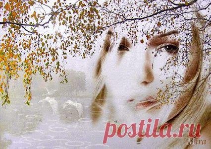 Живые фотографии – Живые картинки – Сообщество – Google+