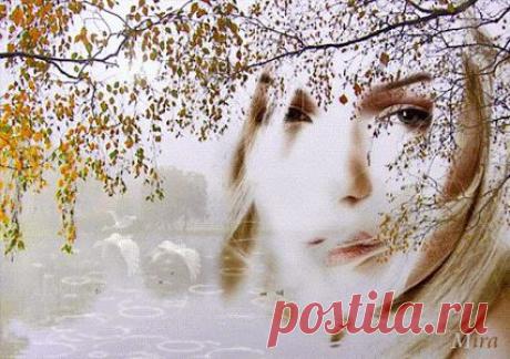 Живые фотографии – Живые картинки – Сообщество – Google+