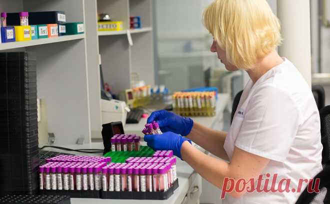 Роспотребнадзор оценил риск завоза вируса Alaskapox в Россию. Вероятность завоза в Россию вируса Alaskapox исключена, говорится в сообщении Роспотребнадзора в телеграм-канале.