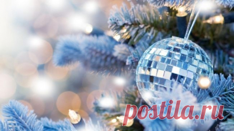 Куда поехать на Новогодние каникулы