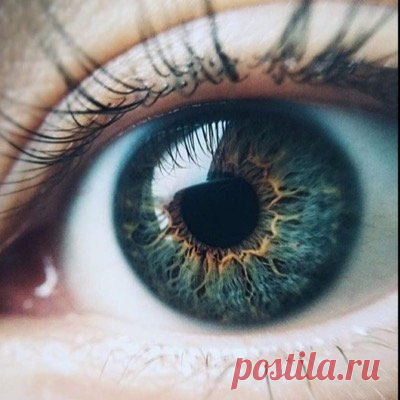 Психология о жизни