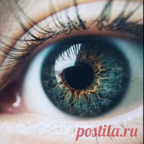 Психология о жизни